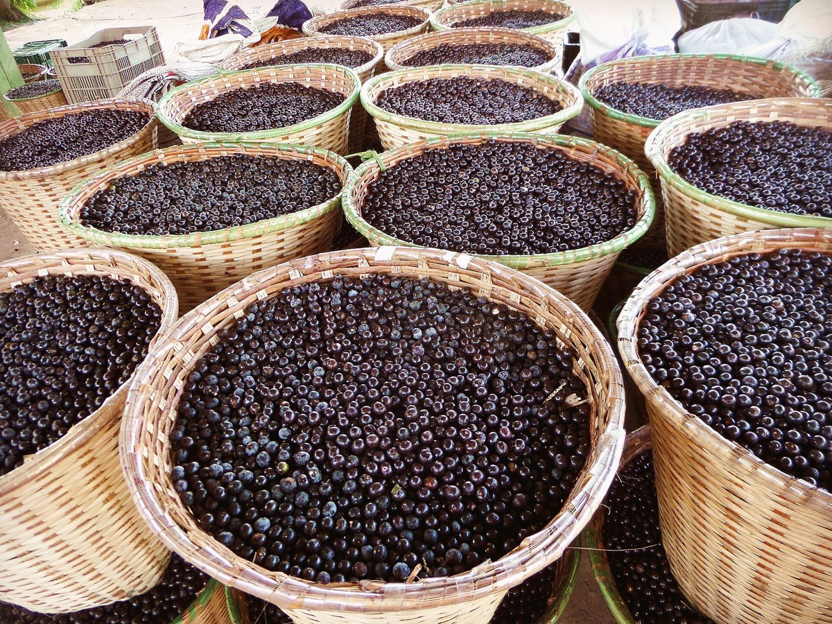 Açaí baskets at the river port